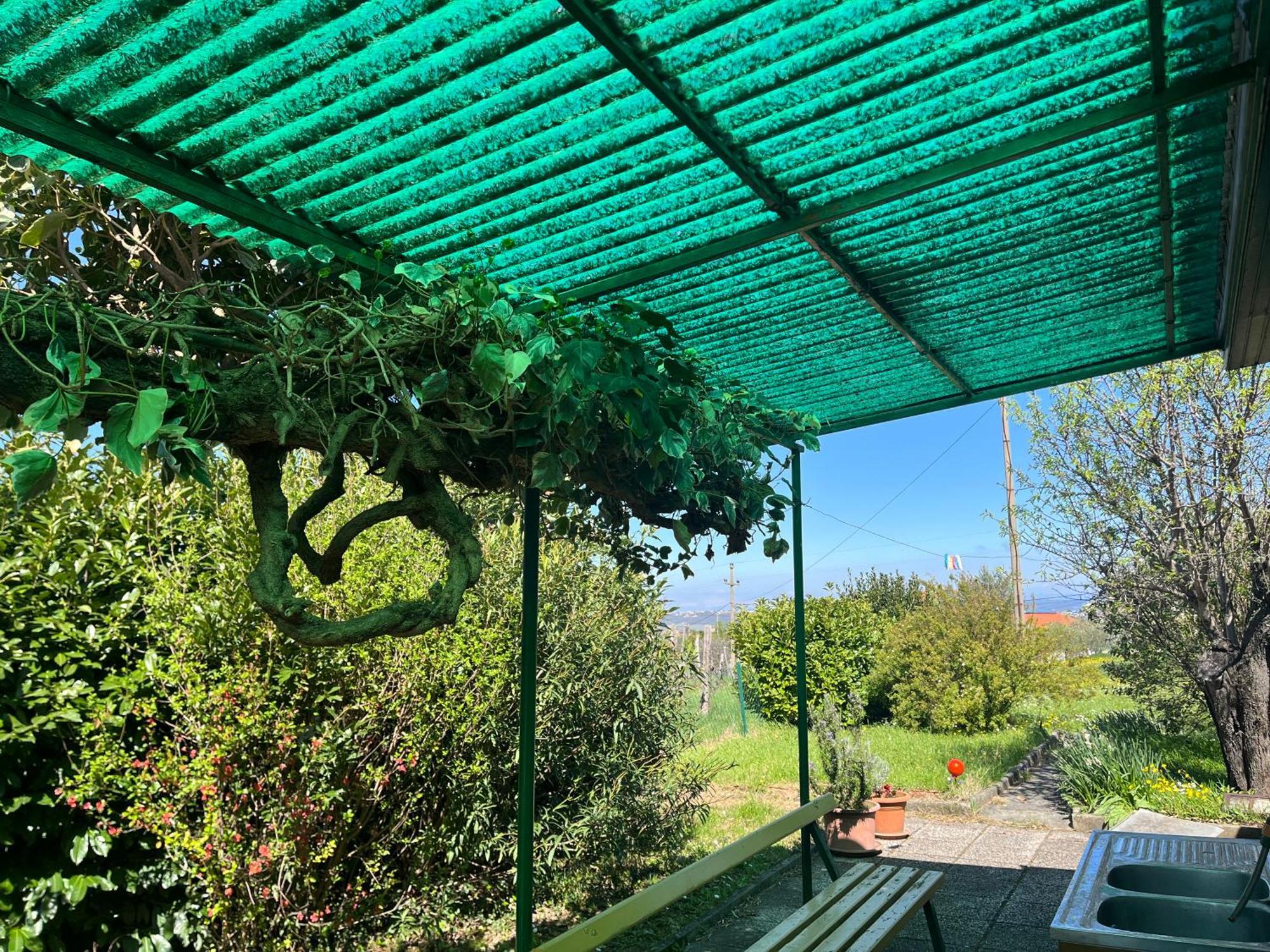 Apartma Korelc *